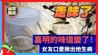 獨家｜嘉明的味道變了！女友口愛揪出他生病 | 台灣新聞 Taiwan 蘋果新聞網