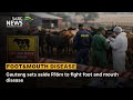 Gauteng sets aside R16m to fight foot and mouth disease