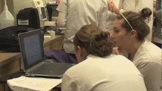 Program Spotlight: Nursing