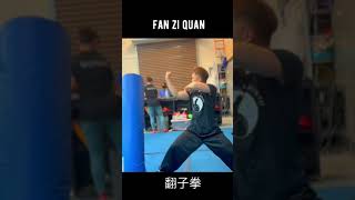 Fan zi quan Kung fu tutorial step by step / 翻子拳教学