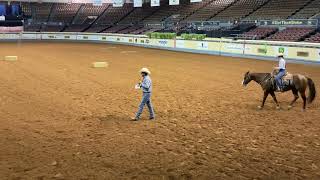 Nutrena Ride the Pattern Clinic: Ranch Riding | 2023 AQHYA World Show