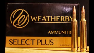 The 240 Weatherby