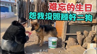 本打算好好过个生日，结果二狗生病把妹子吓坏了，都怪自己不小心《东北女孩一个人自驾环游中国》