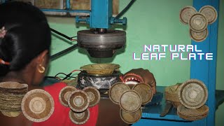 Natural Leaf Plate Making Process