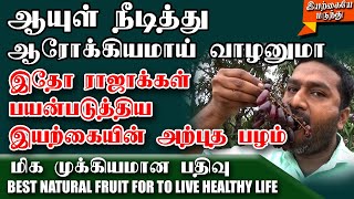 ஆயுள் நீடித்து ஆரோக்கியமாய் வாழனுமா இதோ  ராஜாக்கள் பயன்படுத்திய அற்புத பழம் | இயற்கையே மருந்து