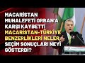 Macaristan-Türkiye benzerlikleri neler, seçim sonuçları neyi gösterdi?