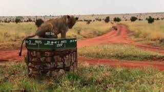 Kenyaclaus on Tour Lumo reserve kenya Jan 2018