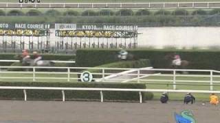 2009年5月17日京都3R障害未勝利 トロピカルクイーン