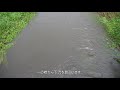 【4k60p】少し増水した野川（2019年10月22日）