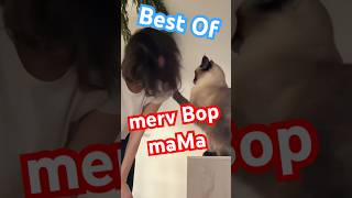 COMPILATION OF MERV ATTACC MA MA 🤣 #bagagwa #cats #shortsfeed #shorts #catsofyoutube #nfl