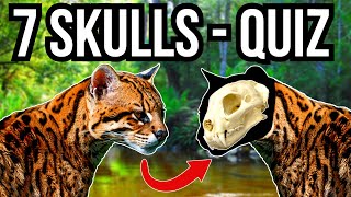 7 Animal Skulls - Guess The Animals Quiz