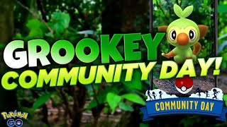 FIRST COMMUNITY DAY OF 2026 IS GROOKEY!! Why This is Great for Pokémon GO!
