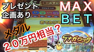 令和 初月 ツナガロッタのおでかけアニマで全国ランキングを目指します 【メダルゲーム】