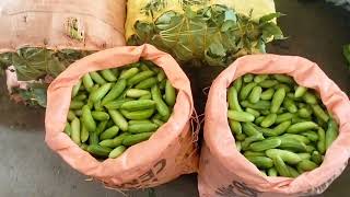 13.8 திருப்பூர் காய் மார்க்கெட். Tiruppur vegetable price