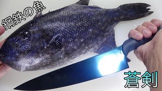 ダイヤモンド級の魚再来！鋼鉄の衣を纏う青い魚を蒼剣でさばく！