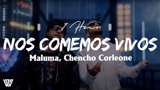 [1 Hour] Maluma, Chencho Corleone - Nos Comemos Vivos (Letra/Lyrics) Loop 1 Hour