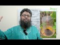 শসার ফুল_জালি ঝরে পড়ার কারণ ও সমাধান । cucumber female flower fruit dropping problem and solution