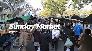 Sunday Market, Kochi | Japan Travel Guide