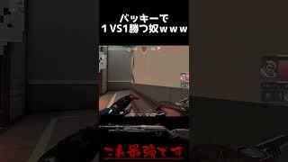 バッキーで１VS1勝つ奴ｗｗｗ【VALORANT/ヴァロラント】