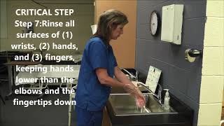 1 Hand Hygiene (Handwashing)
