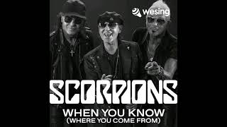 SCORPIONS @WHEN THE SMOKE IS GOING DOWN by aamaq