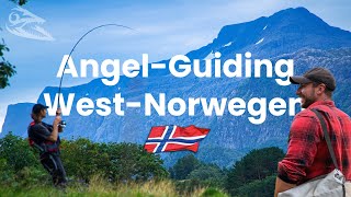 Guiding Angeln vom Ufer in Norwegen! Köhler, Makrelen, Pollacks, Lippfisch!