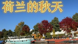 飞去远方看风景，荷兰的秋天多彩的颜色（2024第27集）