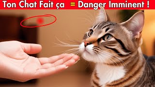 Votre Chat Essaie de Vous Dire Quelque Chose d'IMPORTANT… Ne Passez Pas à Côté ! 🔥