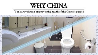 'Toilet Revolution' improves the health of the Chinese people