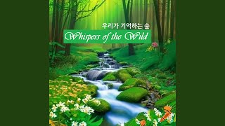 우리가 기억하는 숲 (Whispers of the Wild)