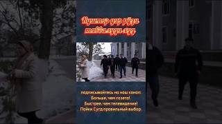 Куштор дар рӯзи таввалуди худ #shorts #vkd #милиса #ахбор