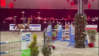 Inaico VDL (Indoctro x Baloubet du Rouet) with Alex Gill was clear in his 1.45m debut