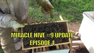 Beekeeping: Miracle Hive #9 Update E4 \u0026 Hive #10 Gets a Deep Brood Box