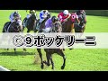 【アメリカジョッキークラブカップ2022 最終予想】ラップ分析で選ぶ本命馬を公開！安定感あるラップ適性に期待！