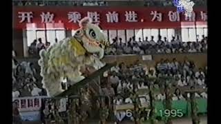 1995年中国挂绿杯国际龙狮大赛