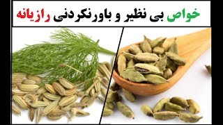 خواص بی نظیر و باورنکردنی رازیانه و چگونه باید آن رو استفاده کرد؟