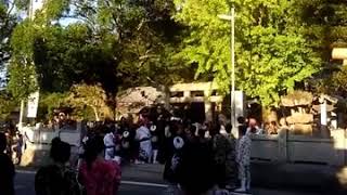 平成28年松山市浅海お神輿