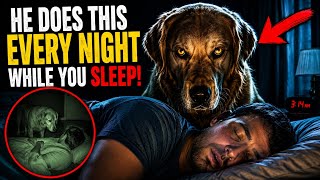 What Your Dog Does While You Sleep Will Shock You
