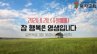 참 행복은 영생입니다 (요한복음 3:16) | 주일예배 20241124 | 목자교회 | 윤신율 목사