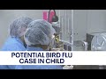 Possible case of bird flu reported in Marin County child | KTVU