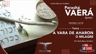 Parashá Vaerá (Apareci) - A VARA DE AHARON / O MILAGRE - 2022/5782