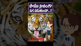 పాము నిజంగా పగ పడుతుందా..? | Telugu Facts | Interesting Facts in Telugu