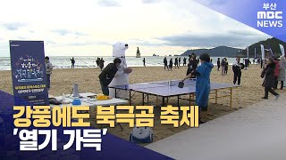 강풍에도 북극곰 축제 '열기 가득' (2023-12-16,토/뉴스데스크/부산MBC)