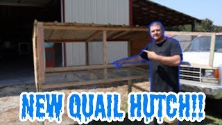 DIY Quail Hutch The Easiest Way To Raise Quail