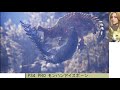 【mhwi】tube放送５日目　ゼロから始めるアイスボーン生活【モンハンワールド：アイスボーン】