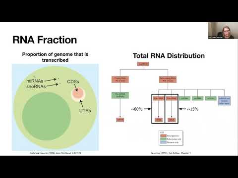 Webinar #11 – Beginner’s Guide to RNA-Seq Mass Analysis