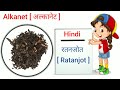 spices name hindi and english मसालों के नाम spices name spice name spice names