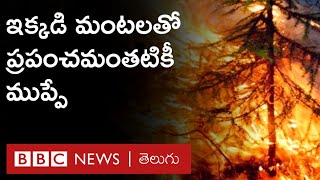 Siberia - Russia Wildfires: 'భూమి ఊపిరితిత్తులు' తగులబడుతున్నాయి. ఆ దృశ్యం ఎలా ఉందంటే.. | BBC Telugu