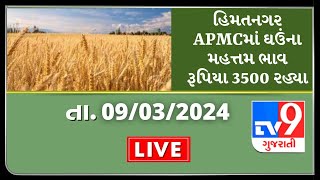 હિમતનગર APMCમાં ઘઉંના મહત્તમ ભાવ રૂપિયા 3500 રહ્યા | APMC | GUJARAT | #Tv9D