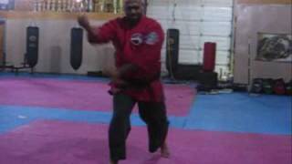 serious martial science - kenpo in motion